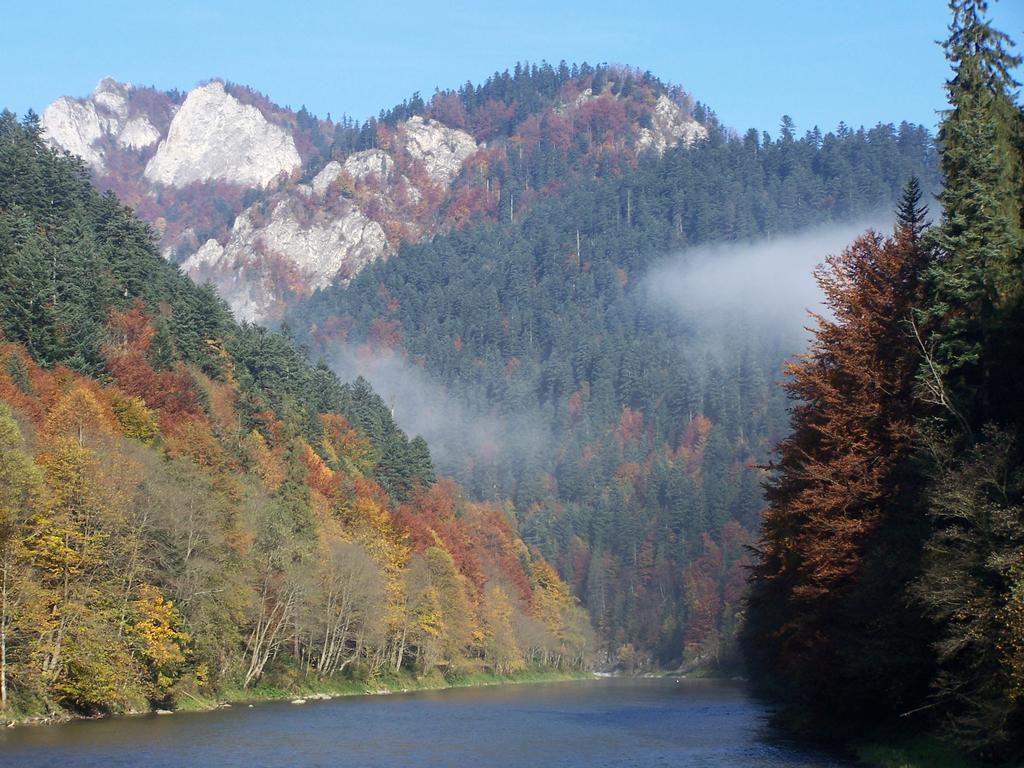 Familiowka Villa Mizerna Buitenkant foto