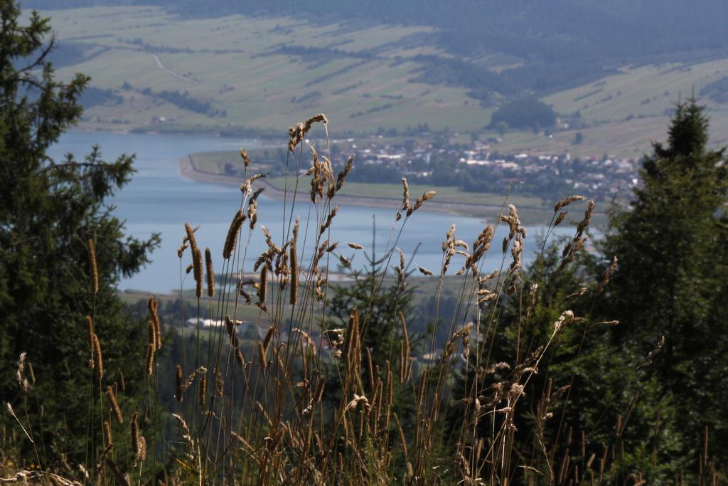 Familiowka Villa Mizerna Buitenkant foto